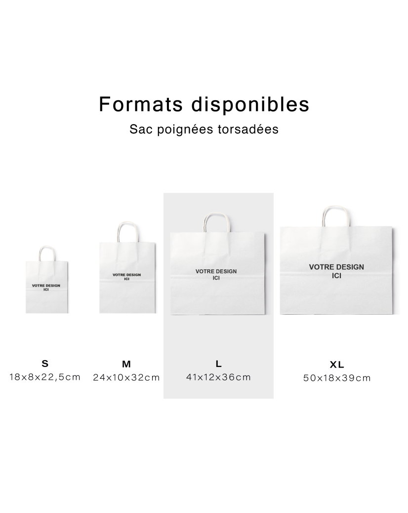 Sac poignées torsadées - Kraft brun