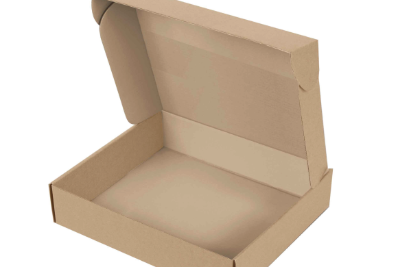 Caja - kraft blanco L RECTANGULO