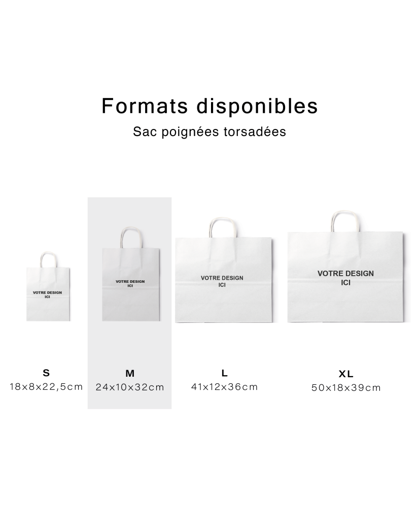 Sac poignées torsadées - Kraft blanc