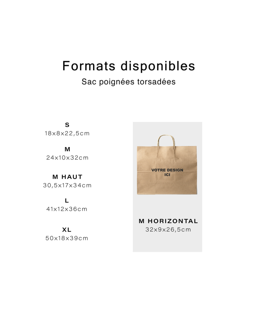 Chronopack Sac poignées torsadées kraft M horizontal