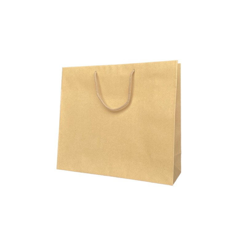 Kraft paper bag with drawstring handle