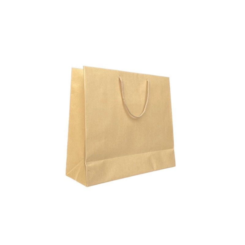 Kraft paper bag with drawstring handle