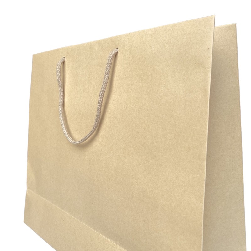 Kraft paper bag with drawstring handle