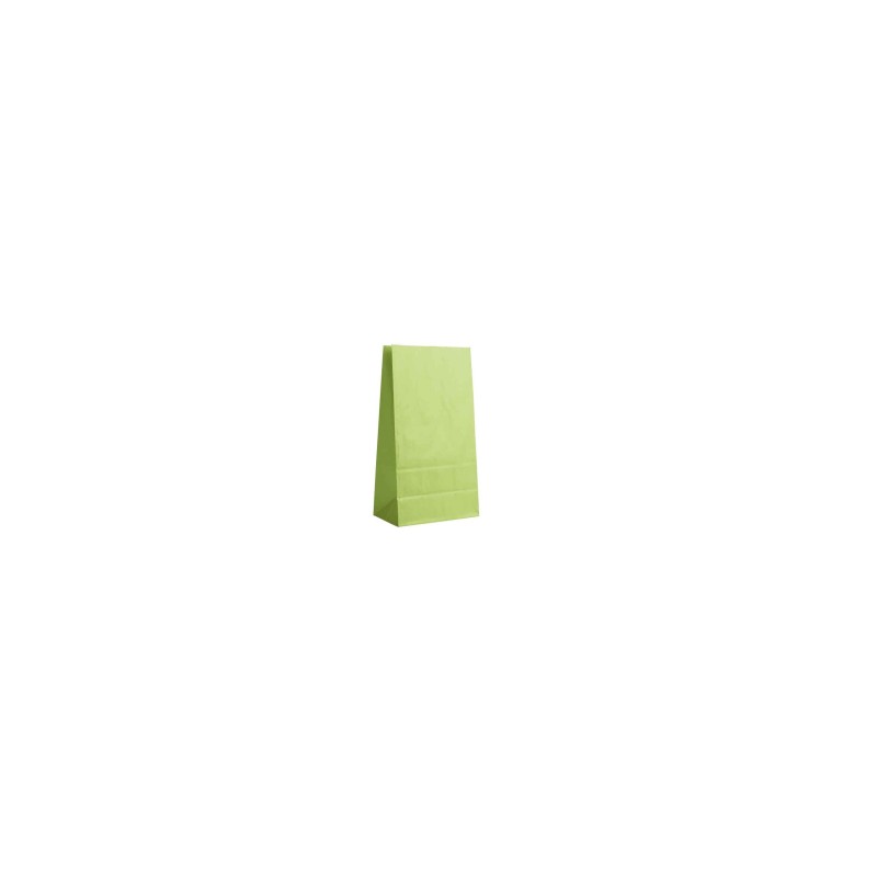 Paper Bag - Apple Green S