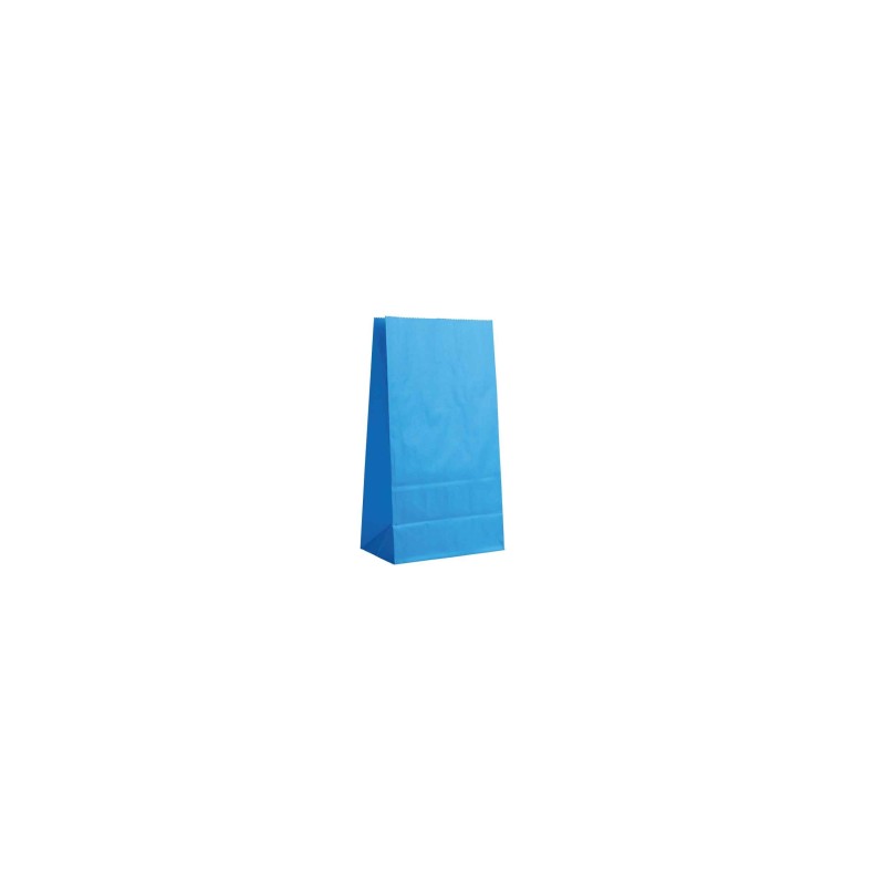 Paper Bag - Blue M