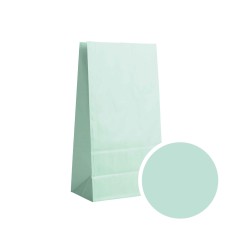 Paper Bag - Green mint M